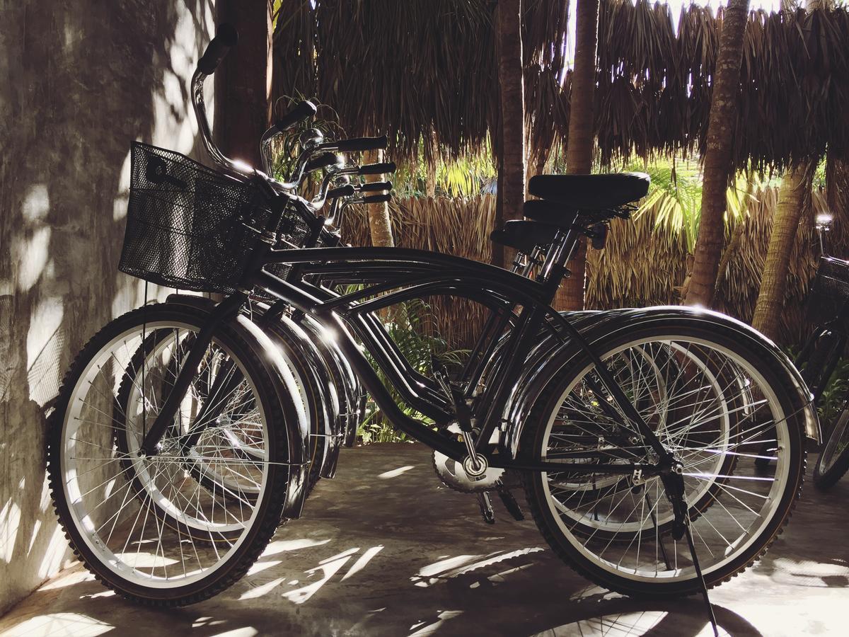 Nativus Glamping & Cenote Tulum Exterior foto