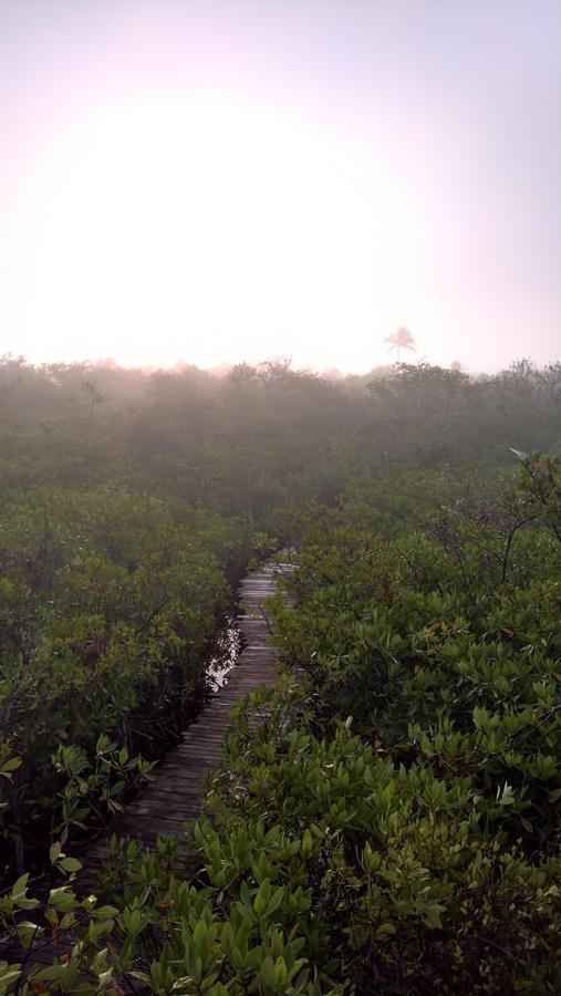 Nativus Glamping & Cenote Tulum Hotel Exterior foto