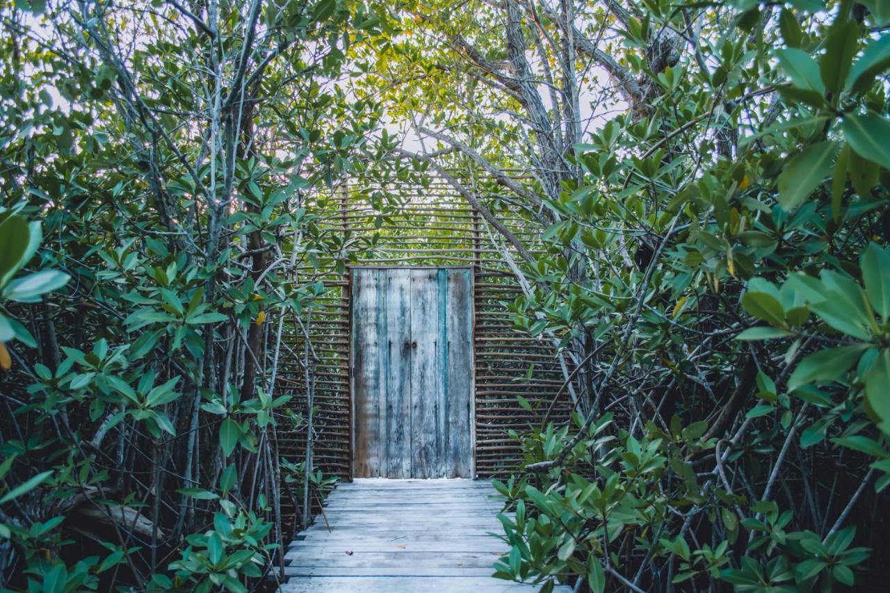 Nativus Glamping & Cenote Tulum Exterior foto