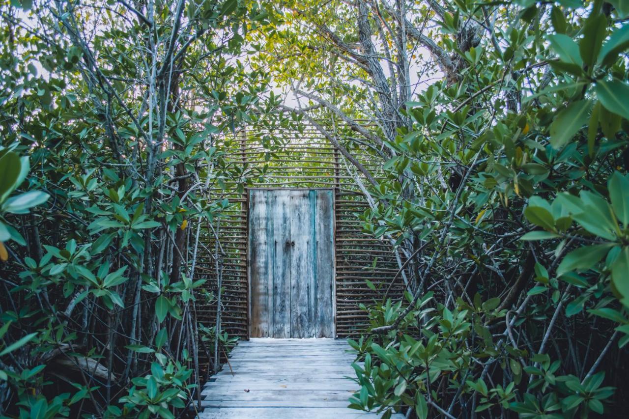 Nativus Glamping & Cenote Tulum Hotel Exterior foto